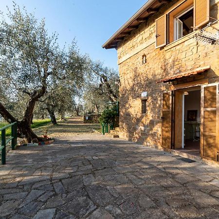 Casetta Maduneta immersa in un oliveto Dolceacqua Esterno foto