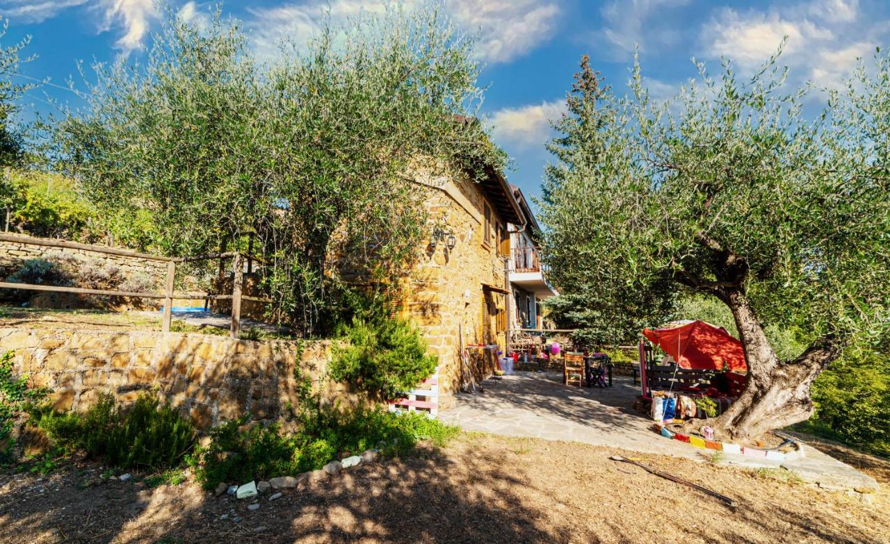 Casetta Maduneta immersa in un oliveto Dolceacqua Esterno foto