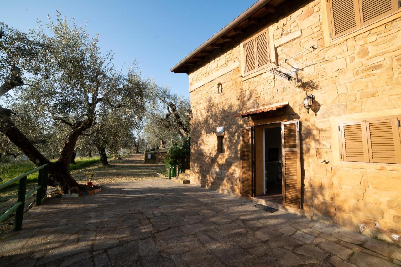 Casetta Maduneta immersa in un oliveto Dolceacqua Esterno foto