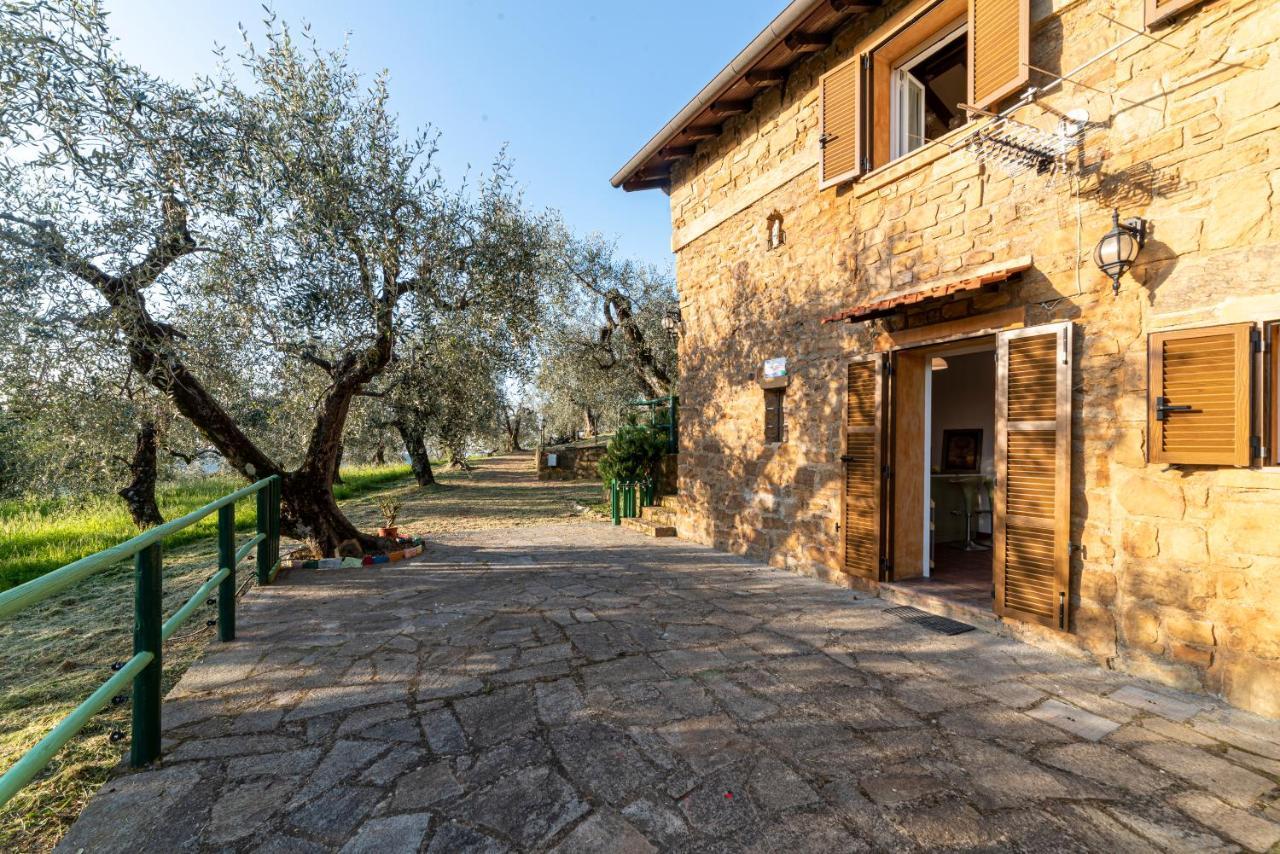 Casetta Maduneta immersa in un oliveto Dolceacqua Esterno foto